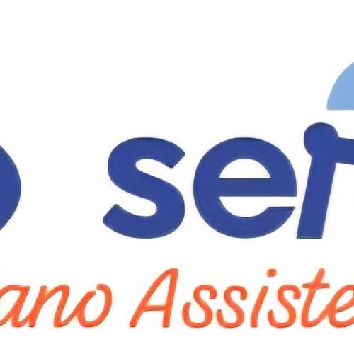 company logo