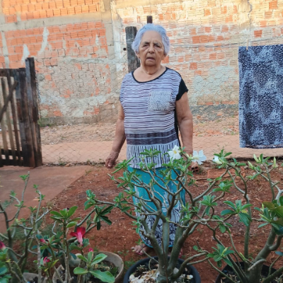 Alzita Martinho De Almeida E Silva
